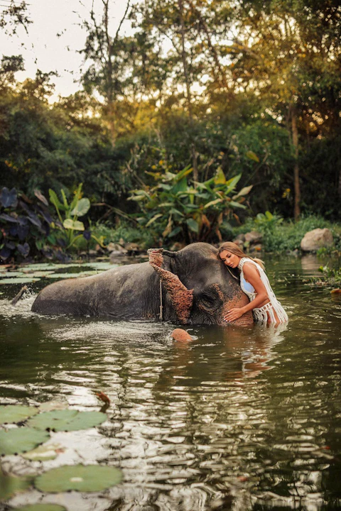 Pattaya Elephant Village & Mongchang Cafe Half Day Tour Price